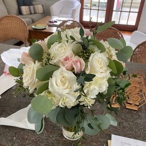 Meet your Posher, Ally